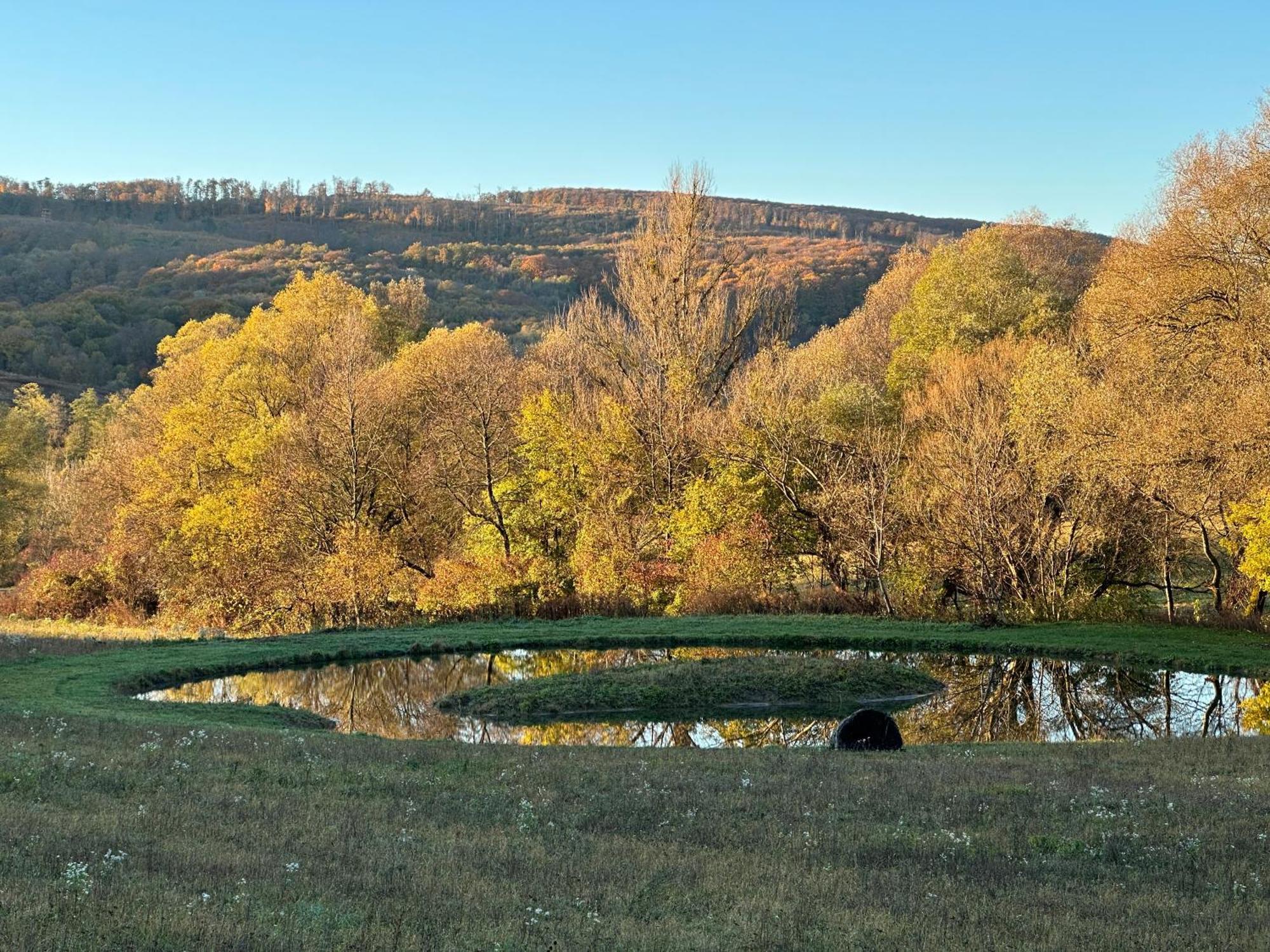Kingsdale Farm Guest House Jásd Zewnętrze zdjęcie
